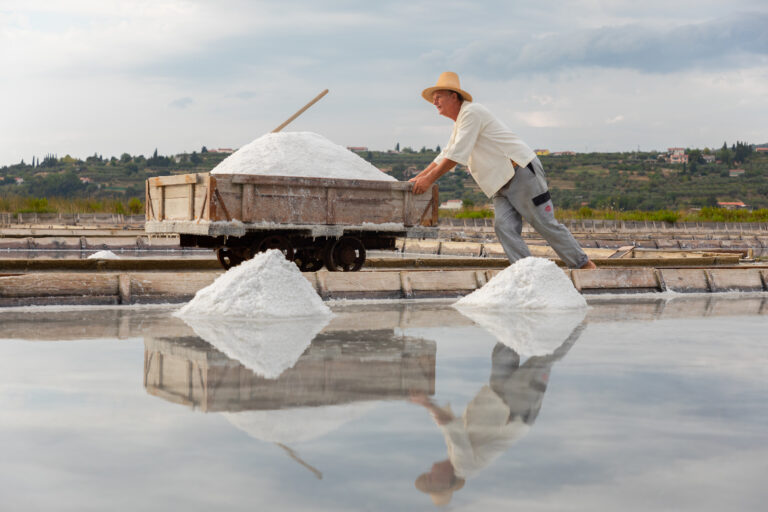 Piran salt pans salt production